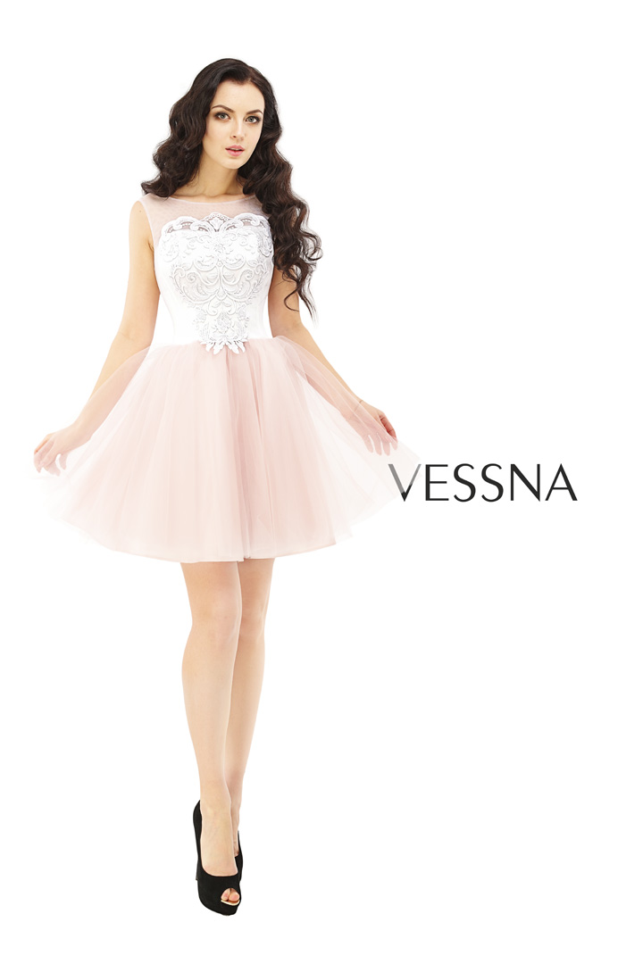 VESSNA 2017